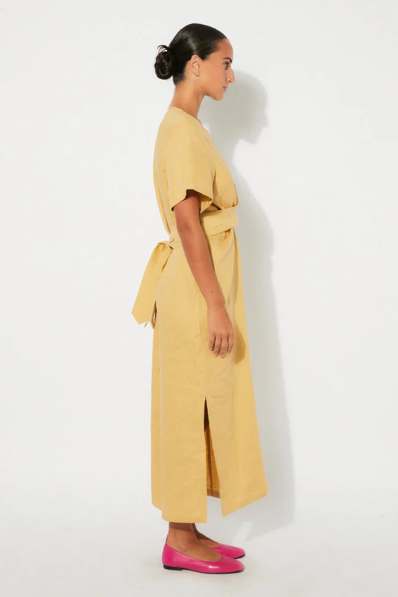 Rita Row | DAPPLE Dress | Pineapple - Image 3